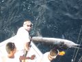 p_Holden_Beach_Fishing_Sailfish.jpg